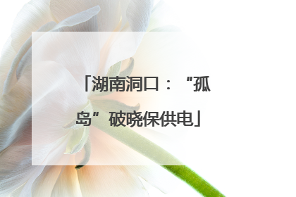 湖南洞口：“孤岛”破晓保供电