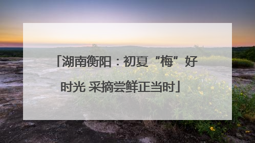湖南衡阳：初夏“梅”好时光 采摘尝鲜正当时