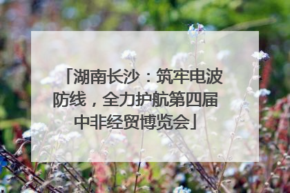 湖南长沙：筑牢电波防线，全力护航第四届中非经贸博览会