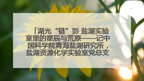 湖光“链”影 盐湖实验室里的星辰与荒原——记中国科学院青海盐湖研究所，盐湖资源化学实验室党总支书记、副主任刘忠