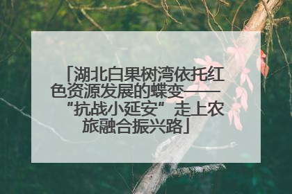 湖北白果树湾依托红色资源发展的蝶变——“抗战小延安”走上农旅融合振兴路