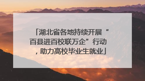 湖北省各地持续开展“百县进百校联万企”行动，助力高校毕业生就业