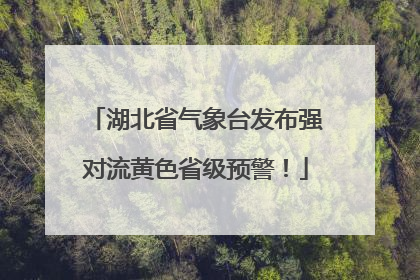 湖北省气象台发布强对流黄色省级预警！