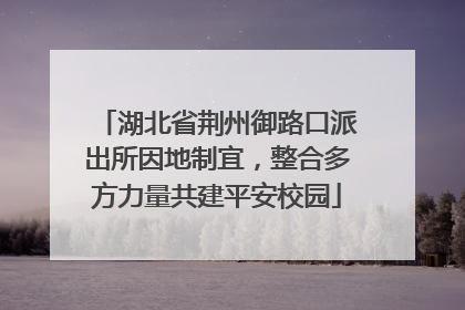 湖北省荆州御路口派出所因地制宜，整合多方力量共建平安校园