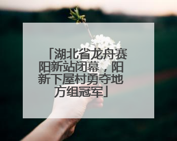 湖北省龙舟赛阳新站闭幕，阳新下屋村勇夺地方组冠军