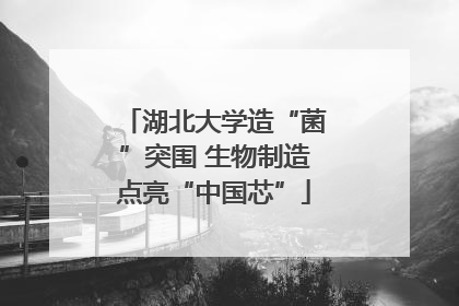 湖北大学造“菌”突围 生物制造点亮“中国芯”