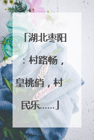 湖北枣阳：村路畅，皇桃俏，村民乐……