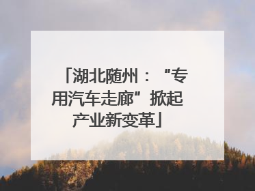 湖北随州：“专用汽车走廊”掀起产业新变革