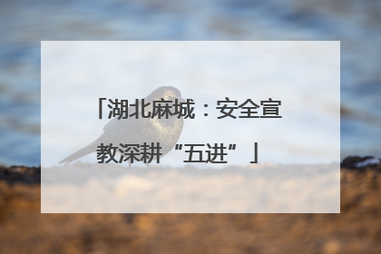 湖北麻城：安全宣教深耕“五进”