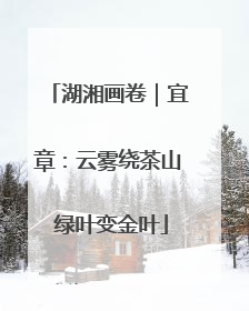湖湘画卷｜宜章：云雾绕茶山 绿叶变金叶