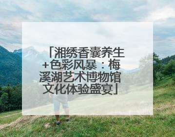 湘绣香囊养生+色彩风暴：梅溪湖艺术博物馆文化体验盛宴