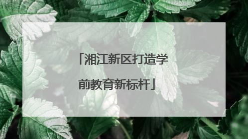 湘江新区打造学前教育新标杆