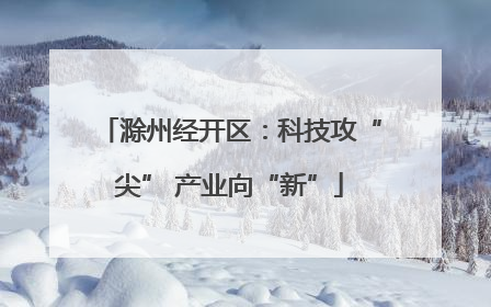 滁州经开区：科技攻“尖” 产业向“新”