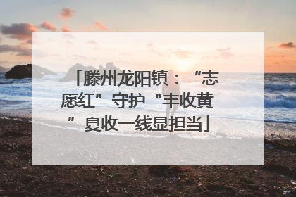 滕州龙阳镇：“志愿红”守护“丰收黄”夏收一线显担当