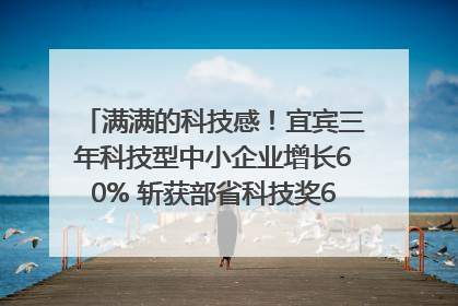 满满的科技感！宜宾三年科技型中小企业增长60% 斩获部省科技奖6项｜您牵挂的四川