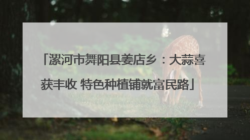漯河市舞阳县姜店乡：大蒜喜获丰收 特色种植铺就富民路