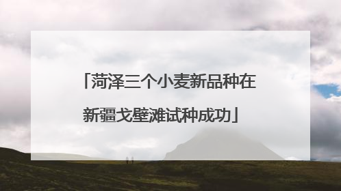 菏泽三个小麦新品种在新疆戈壁滩试种成功