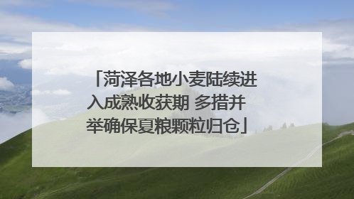菏泽各地小麦陆续进入成熟收获期 多措并举确保夏粮颗粒归仓