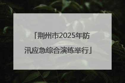 荆州市2025年防汛应急综合演练举行