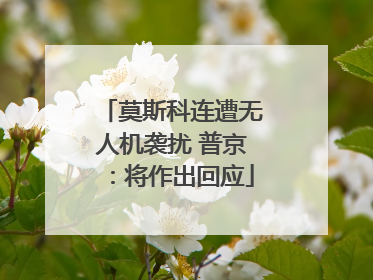 莫斯科连遭无人机袭扰 普京：将作出回应