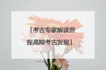 考古专家解读曹操高陵考古发现