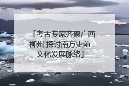 考古专家齐聚广西柳州 探讨南方史前文化发展脉络
