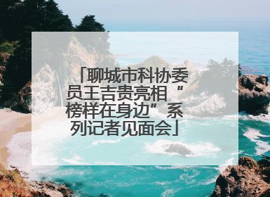 聊城市科协委员王吉贵亮相“榜样在身边”系列记者见面会
