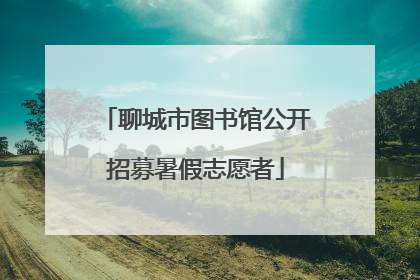 聊城市图书馆公开招募暑假志愿者