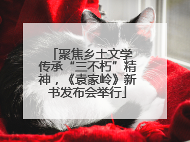 聚焦乡土文学 传承“三不朽”精神，《袁家岭》新书发布会举行