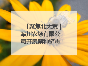 聚焦北大荒｜军川农场有限公司开展禁种铲毒排查宣传行动