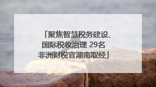 聚焦智慧税务建设、国际税收治理 29名非洲财税官湖南取经