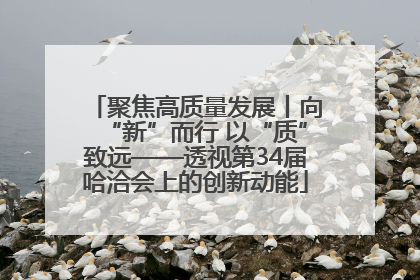 聚焦高质量发展丨向“新”而行 以“质”致远——透视第34届哈洽会上的创新动能