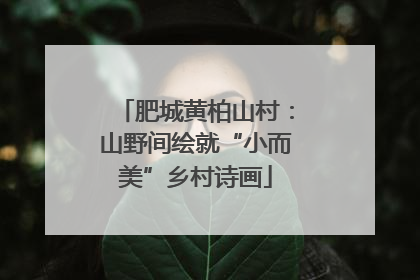 肥城黄柏山村：山野间绘就“小而美”乡村诗画