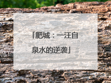 肥城：一汪自泉水的逆袭
