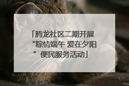 腾龙社区二期开展 “粽情端午 爱在夕阳”便民服务活动