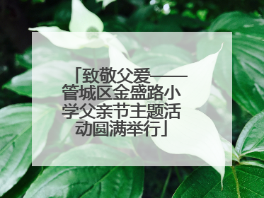 致敬父爱——管城区金盛路小学父亲节主题活动圆满举行