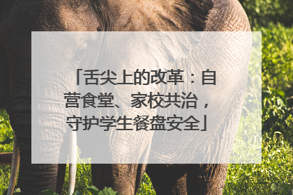 舌尖上的改革：自营食堂、家校共治，守护学生餐盘安全
