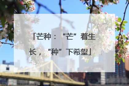 芒种：“芒”着生长，“种”下希望