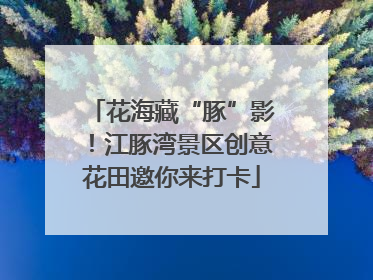 花海藏“豚”影！江豚湾景区创意花田邀你来打卡