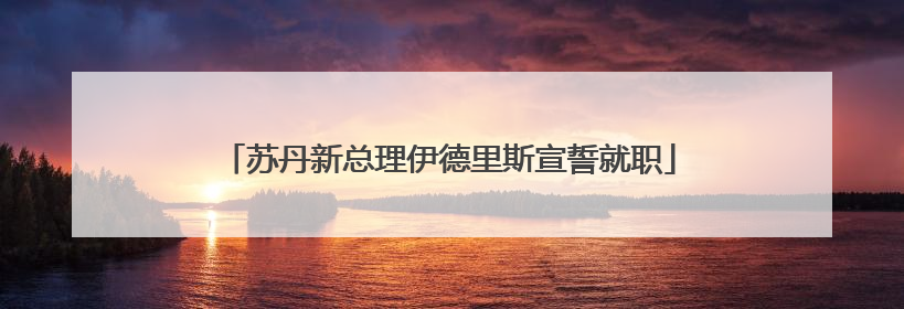 苏丹新总理伊德里斯宣誓就职