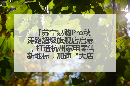 苏宁易购Pro秋涛路超级旗舰店启幕，打造杭州家电零售新地标，加速“大店攻略”全省布局
