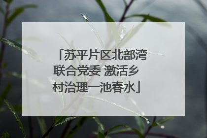 苏平片区北部湾联合党委 激活乡村治理一池春水
