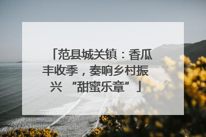 范县城关镇：香瓜丰收季，奏响乡村振兴 “甜蜜乐章”