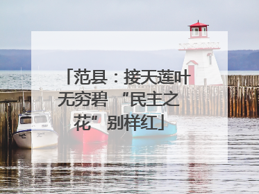 范县：接天莲叶无穷碧 “民主之花”别样红