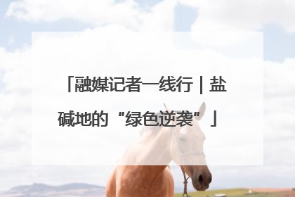 融媒记者一线行｜盐碱地的“绿色逆袭”