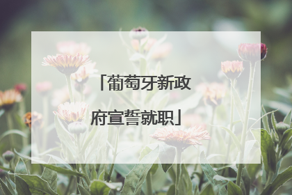 葡萄牙新政府宣誓就职