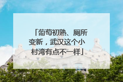 葡萄初熟、厕所变新，武汉这个小村湾有点不一样