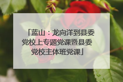 蓝山：龙向洋到县委党校上专题党课暨县委党校主体班党课