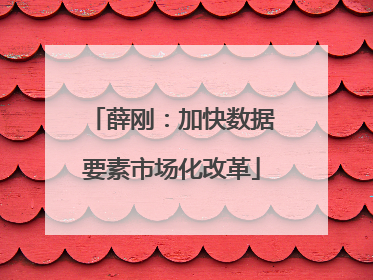 薛刚：加快数据要素市场化改革