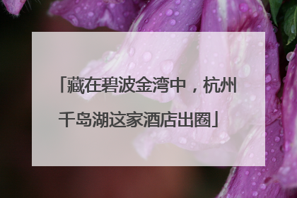 藏在碧波金湾中，杭州千岛湖这家酒店出圈